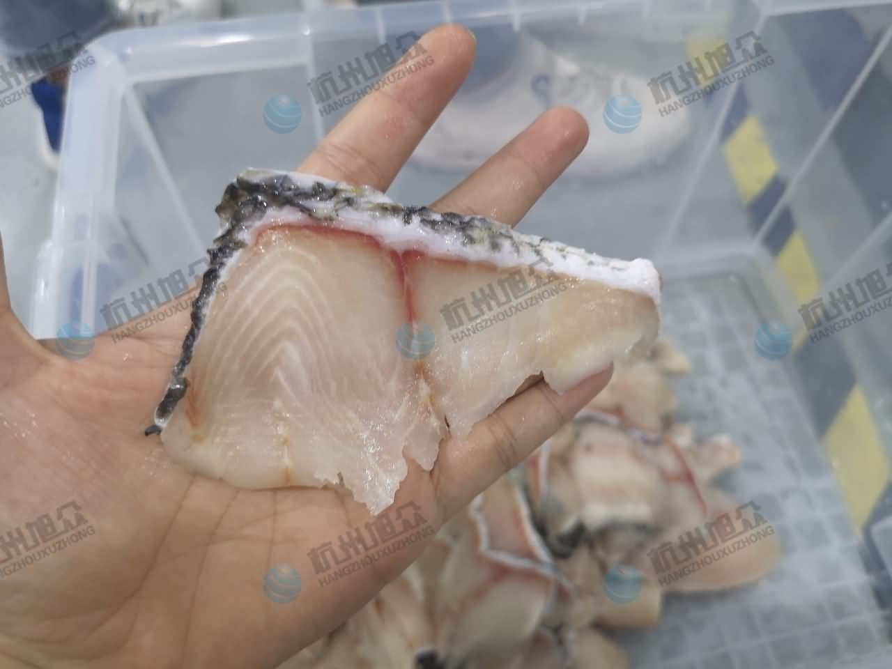 5db6539d37cd5.jpg