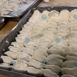 仿手工包餃子機大小均勻老客戶反饋！