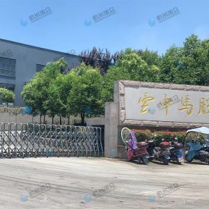 松陽(yáng)的客戶，調(diào)試30型包子機(jī)完成！
