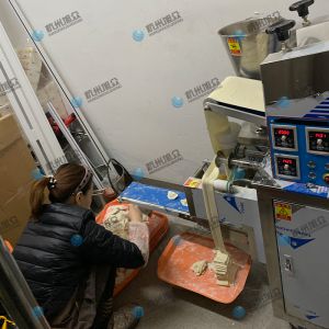 仿手工包餃子機(jī)省時(shí)省力開(kāi)店神器！