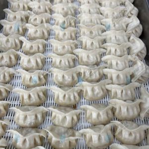 JGB-10型一體式餃子機(jī)現(xiàn)場(chǎng)試機(jī)，效果棒棒噠！?。?！